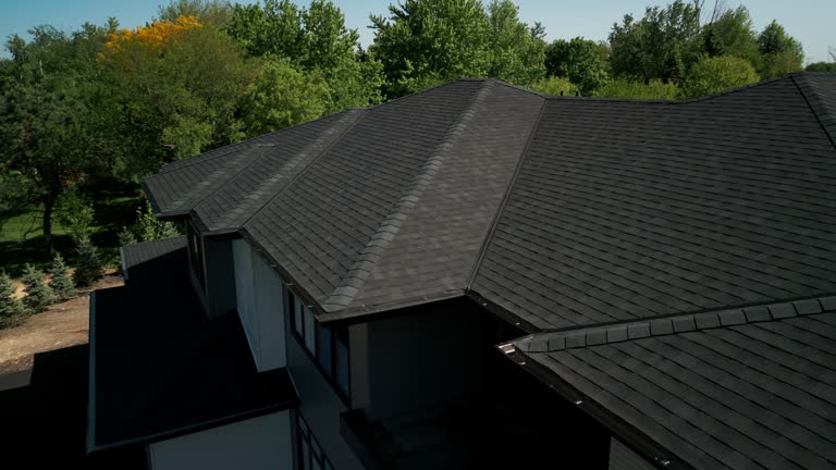 Best Sheet Metal Roofing  in Cokato, MN