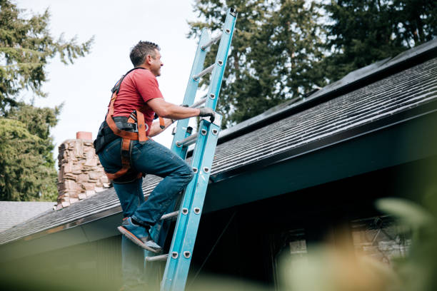 Best Roof Installation  in Cokato, MN